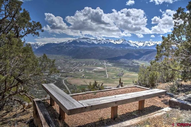 802C Pine Dr, Ridgway, CO 81432