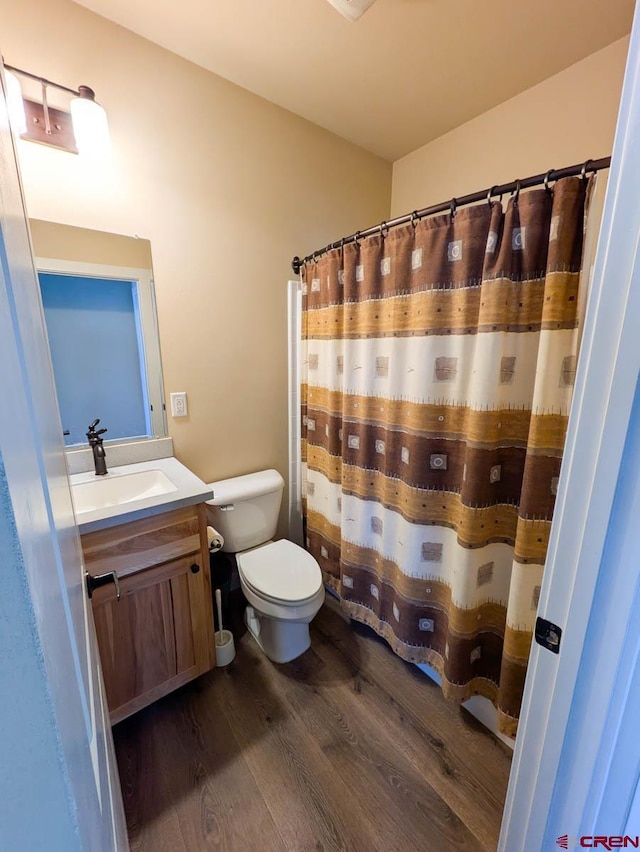117 N Fork Ave, Paonia, CO 81428 - full bathroom featuring wood finished floors, vanity, and a shower with shower curtain