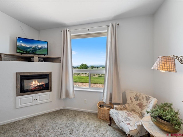 12689 6100th Rd, Montrose, CO 81401 - sitting room featuring healthy amount of natural light, carpet, and a glass covered fireplace
