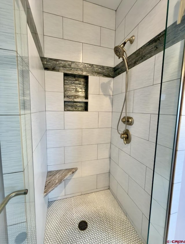12689 6100th Rd, Montrose, CO 81401 - full bath with a stall shower