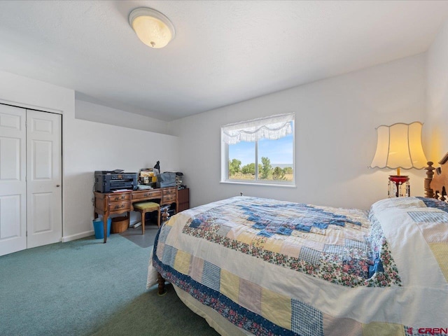 12689 6100th Rd, Montrose, CO 81401 - view of carpeted bedroom