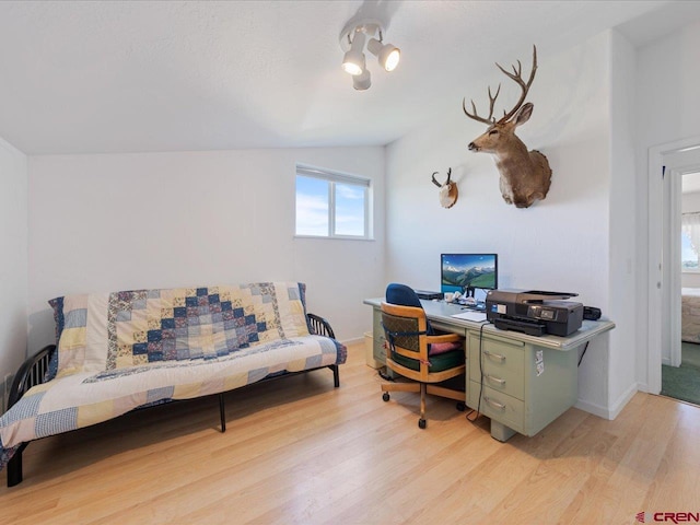 12689 6100th Rd, Montrose, CO 81401 - office featuring light wood-style flooring and lofted ceiling
