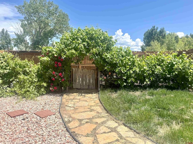 12689 6100th Rd, Montrose, CO 81401 - view of yard