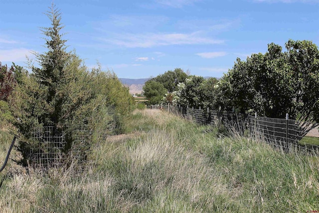 12689 6100th Rd, Montrose, CO 81401 - view of nature with rural landscape