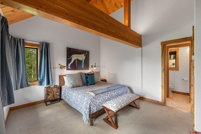 41 Cinnamon Mountain Rd, Mount Crested Butte, CO 81225 - bedroom with carpet and ensuite bath