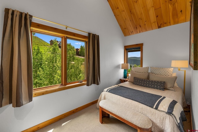 41 Cinnamon Mountain Rd, Mount Crested Butte, CO 81225 - bedroom featuring carpet floors and vaulted ceiling