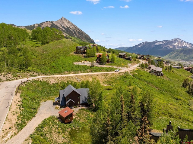 41 Cinnamon Mountain Rd, Mount Crested Butte, CO 81225 - mountain view