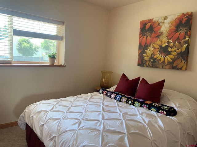 404 SE Birdie Cir, Cedaredge, CO 81413 - bedroom featuring carpet floors