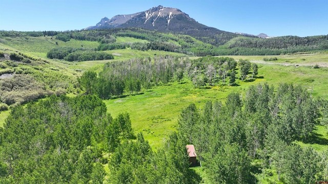 TRACT7R San Juan Vista Dr, Placerville, CO 81430