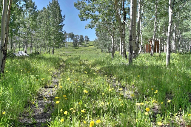 TRACT7R San Juan Vista Dr, Placerville, CO 81430