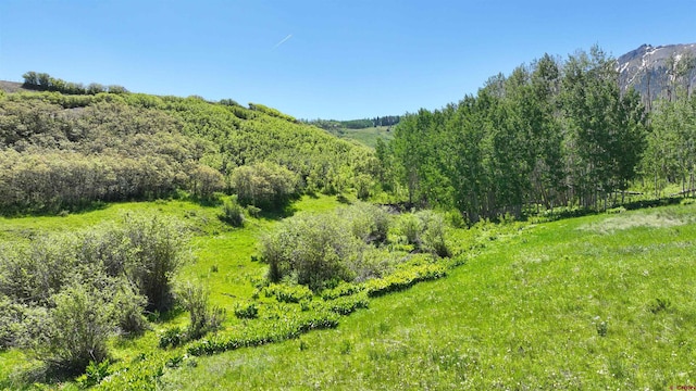 TRACT7R San Juan Vista Dr, Placerville, CO 81430
