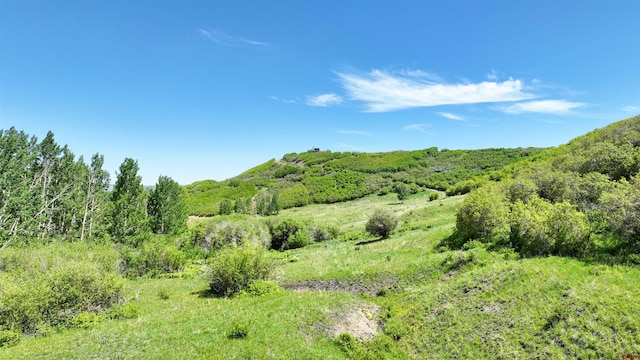 TRACT7R San Juan Vista Dr, Placerville, CO 81430