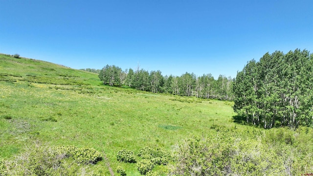 TRACT7R San Juan Vista Dr, Placerville, CO 81430