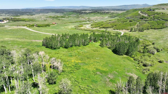 TRACT7R San Juan Vista Dr, Placerville, CO 81430