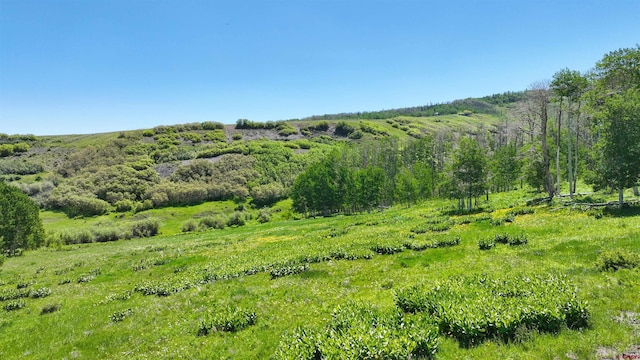TRACT7R San Juan Vista Dr, Placerville, CO 81430