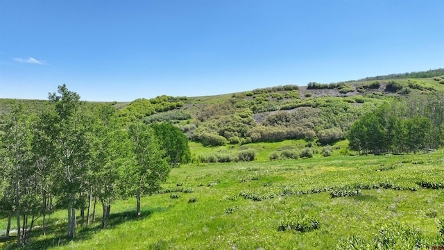TRACT7R San Juan Vista Dr, Placerville, CO 81430