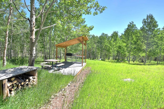 TRACT7R San Juan Vista Dr, Placerville, CO 81430