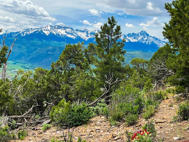 818 Pine Dr, Ridgway, CO 81432