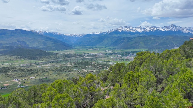 818 Pine Dr, Ridgway, CO 81432