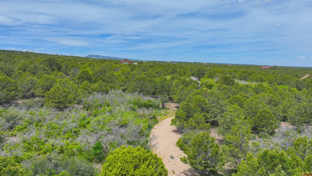 818 Pine Dr, Ridgway, CO 81432
