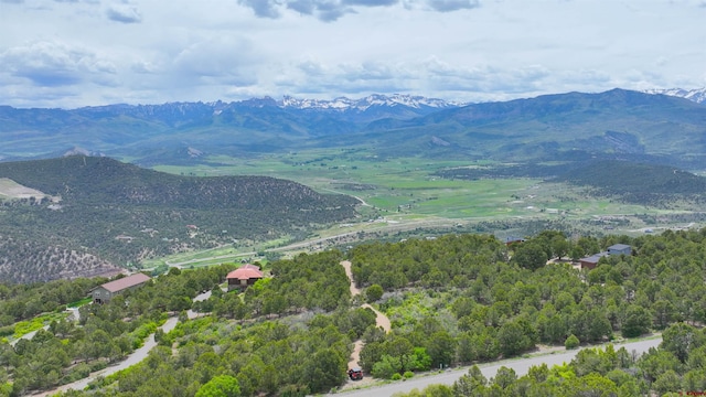 818 Pine Dr, Ridgway, CO 81432