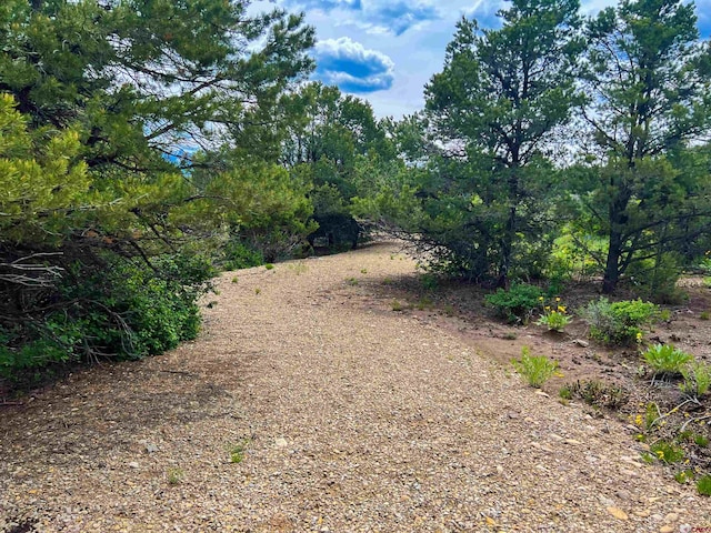 818 Pine Dr, Ridgway, CO 81432