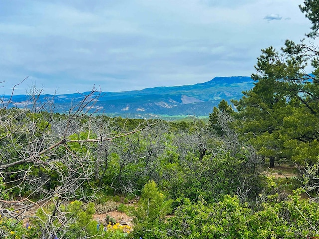 818 Pine Dr, Ridgway, CO 81432