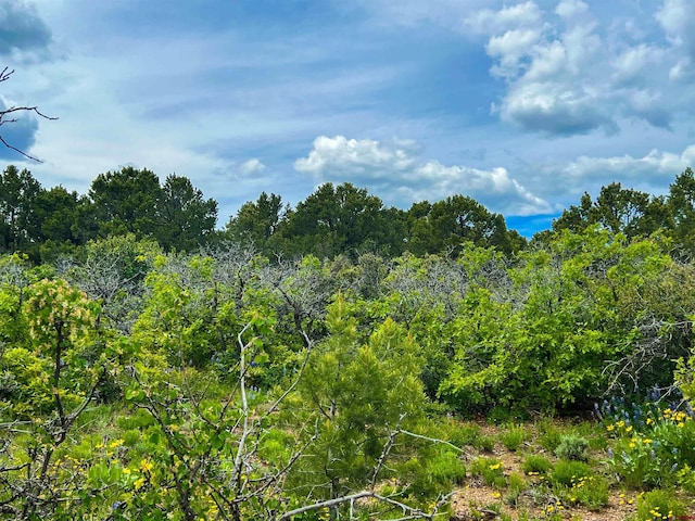 818 Pine Dr, Ridgway, CO 81432