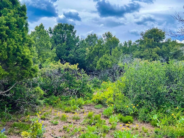 818 Pine Dr, Ridgway, CO 81432