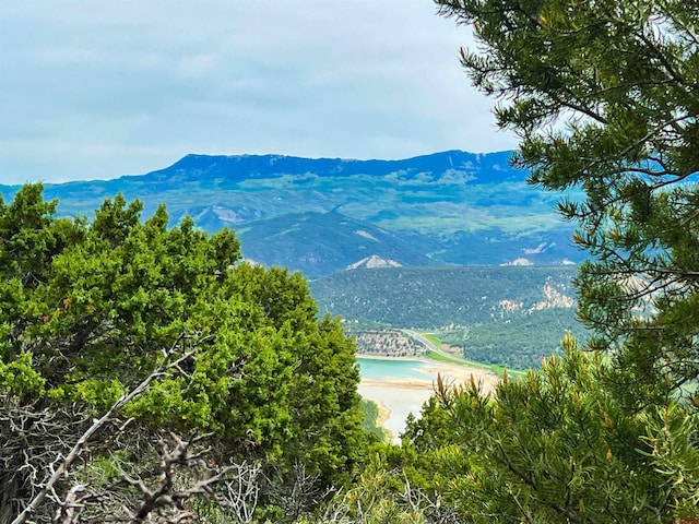 818 Pine Dr, Ridgway, CO 81432
