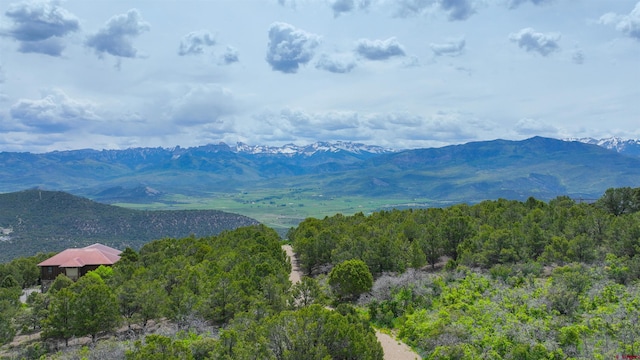 818 Pine Dr, Ridgway, CO 81432