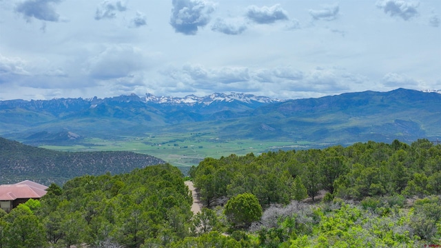 818 Pine Dr, Ridgway, CO 81432