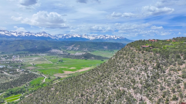 818 Pine Dr, Ridgway, CO 81432