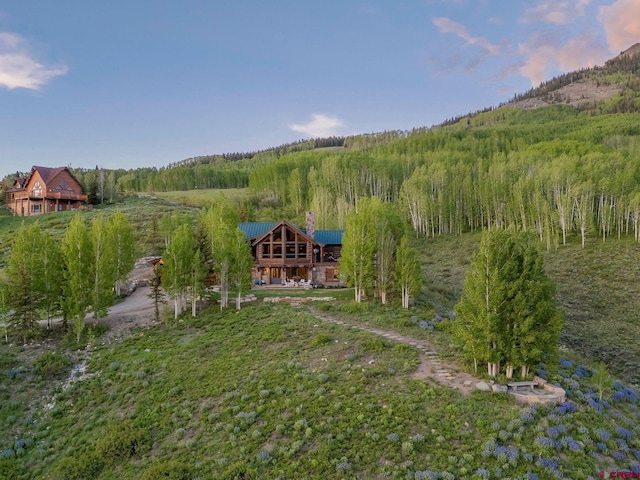 3 Summit Ct, Mount Crested Butte, CO 81225 - view of yard with a forest view