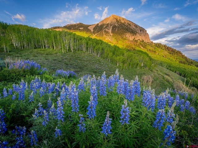 3 Summit Ct, Mount Crested Butte, CO 81225 - mountain view