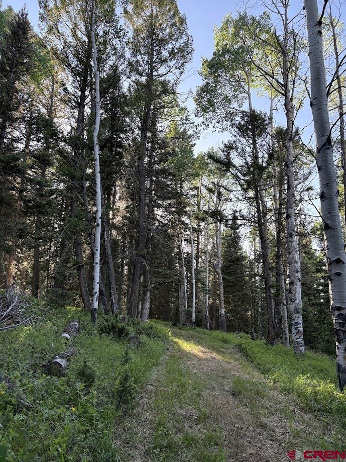 459 Ute Dr, Cimarron, CO 81220