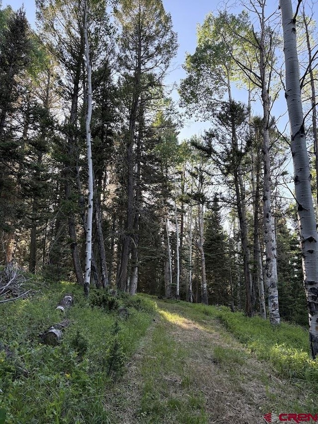 459 Ute Dr, Cimarron, CO 81220