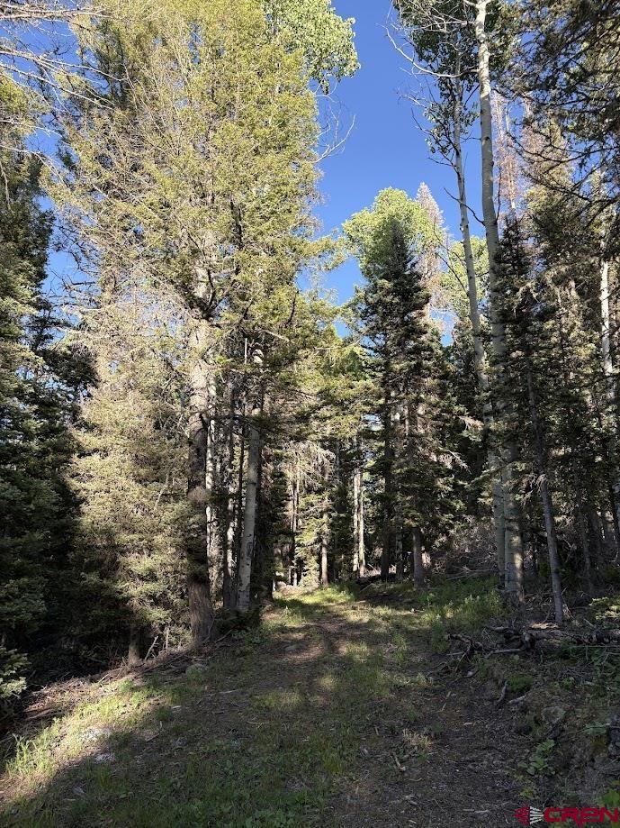 459 Ute Dr, Cimarron, CO 81220