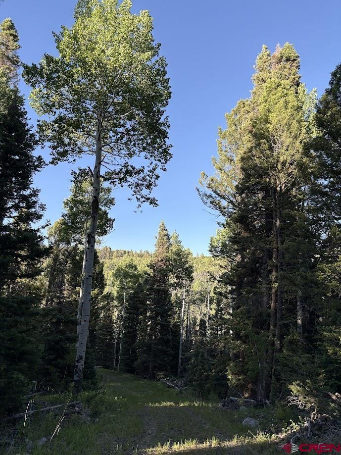459 Ute Dr, Cimarron, CO 81220