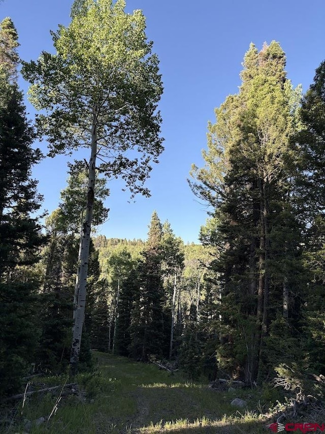 459 Ute Dr, Cimarron, CO 81220
