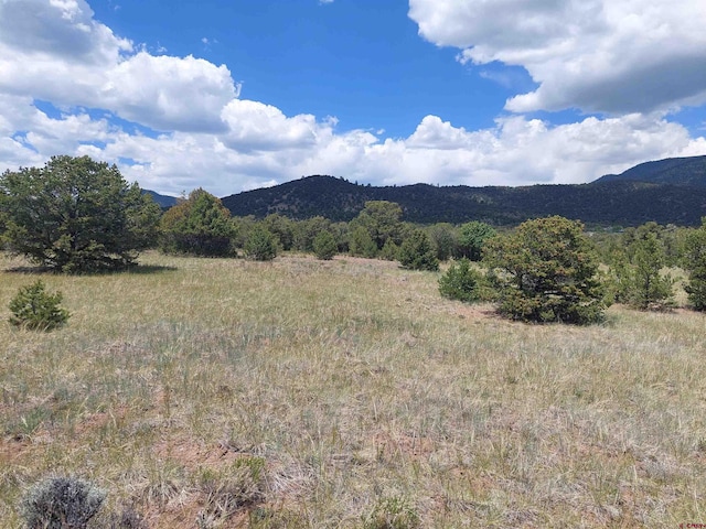 397 Rainbow Trl, South Fork, CO 81154