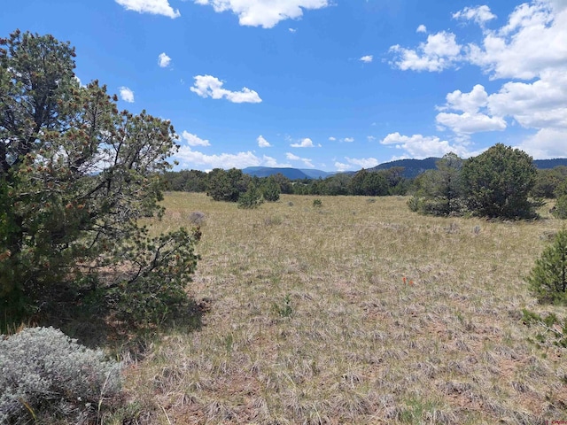397 Rainbow Trl, South Fork, CO 81154