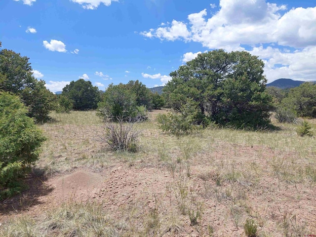397 Rainbow Trl, South Fork, CO 81154