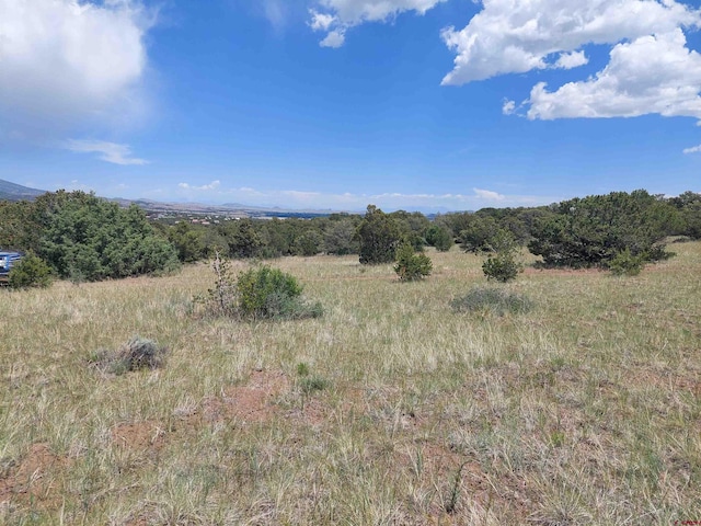 397 Rainbow Trl, South Fork, CO 81154