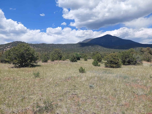 397 Rainbow Trl, South Fork, CO 81154