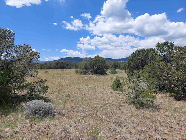 397 Rainbow Trl, South Fork, CO 81154
