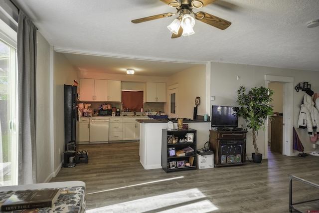 1132 Robinson Ave, Trinidad, CO 81082 - kitchen featuring white dishwasher, dark wood-style floors, ceiling fan, white cabinets, and a textured ceiling