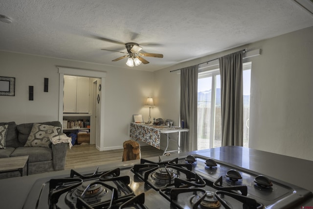 1132 Robinson Ave, Trinidad, CO 81082 - living room with ceiling fan, wood finished floors, and a textured ceiling