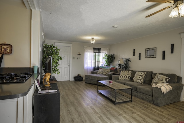 1132 Robinson Ave, Trinidad, CO 81082 - living room featuring light wood finished floors, a ceiling fan, and a textured ceiling