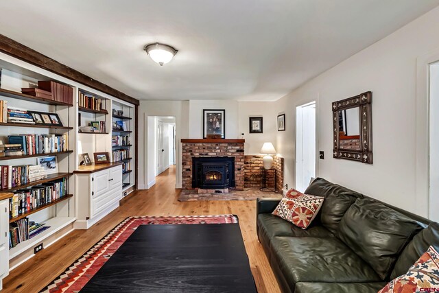 9359 49 1/4 Rd, Mesa, CO 81643 - living room with light wood-style flooring